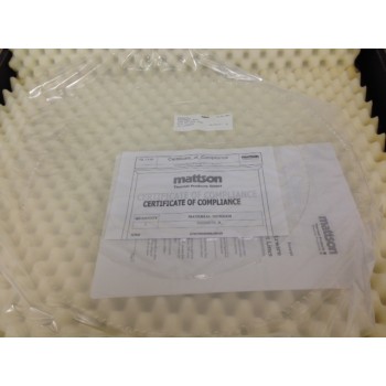 Mattson Technology 58600079 Ring 12inch Rotor 300X9